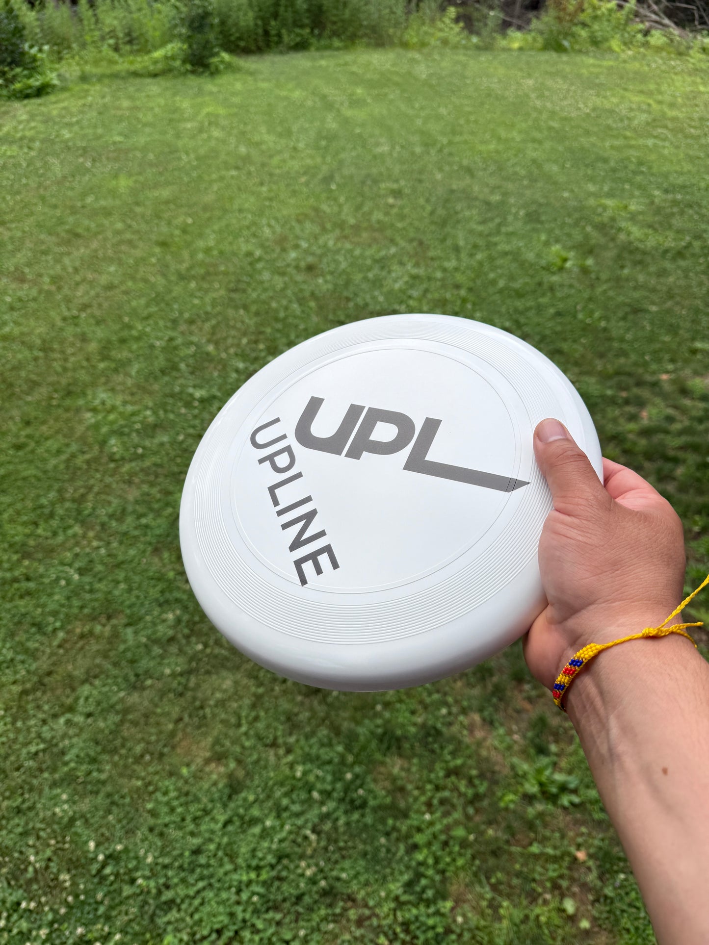UpLine Disc